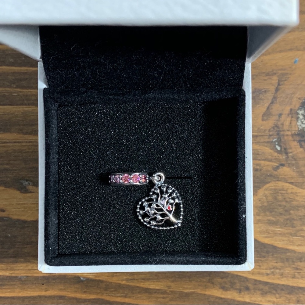 Pandora charm